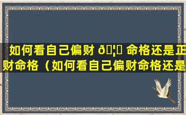 如何看自己偏财 🦁 命格还是正财命格（如何看自己偏财命格还是正财命格女）